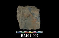 藏品(粘板岩)的圖片